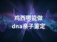 鸡西哪能做dna亲子鉴定