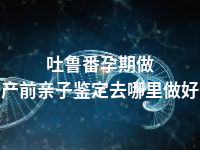 吐鲁番孕期做产前亲子鉴定去哪里做好