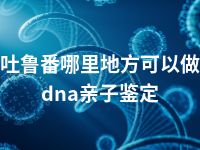 吐鲁番哪里地方可以做dna亲子鉴定