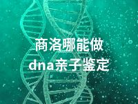 商洛哪能做dna亲子鉴定