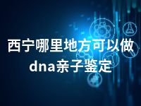 西宁哪里地方可以做dna亲子鉴定