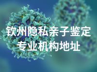 钦州隐私亲子鉴定专业机构地址