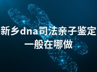 新乡dna司法亲子鉴定一般在哪做