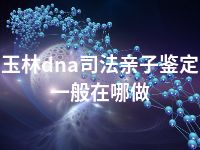 玉林dna司法亲子鉴定一般在哪做