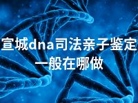 宣城dna司法亲子鉴定一般在哪做