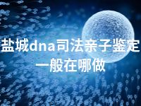 盐城dna司法亲子鉴定一般在哪做