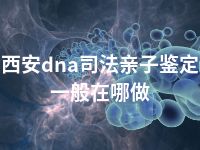 西安dna司法亲子鉴定一般在哪做