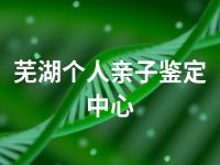 芜湖个人亲子鉴定中心