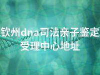 钦州dna司法亲子鉴定受理中心地址