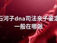 石河子dna司法亲子鉴定一般在哪做