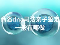 商洛dna司法亲子鉴定一般在哪做