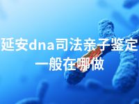 延安dna司法亲子鉴定一般在哪做