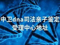 中卫dna司法亲子鉴定受理中心地址