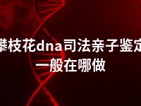 攀枝花dna司法亲子鉴定一般在哪做