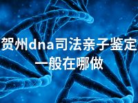 贺州dna司法亲子鉴定一般在哪做