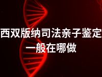 西双版纳司法亲子鉴定一般在哪做