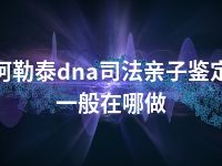 阿勒泰dna司法亲子鉴定一般在哪做