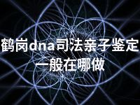 鹤岗dna司法亲子鉴定一般在哪做