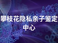 攀枝花隐私亲子鉴定中心