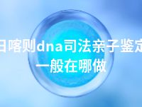 日喀则dna司法亲子鉴定一般在哪做