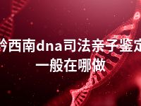 黔西南dna司法亲子鉴定一般在哪做