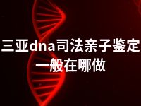 三亚dna司法亲子鉴定一般在哪做