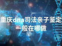 重庆dna司法亲子鉴定一般在哪做