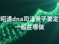 昭通dna司法亲子鉴定一般在哪做