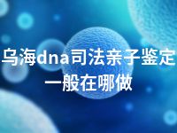 乌海dna司法亲子鉴定一般在哪做