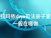 克拉玛依dna司法亲子鉴定一般在哪做