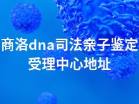 商洛dna司法亲子鉴定受理中心地址