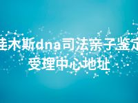 佳木斯dna司法亲子鉴定受理中心地址