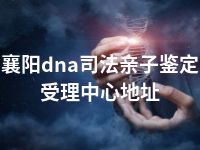 襄阳dna司法亲子鉴定受理中心地址