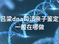 吕梁dna司法亲子鉴定一般在哪做