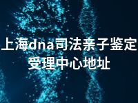 上海dna司法亲子鉴定受理中心地址