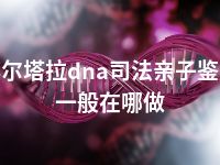 博尔塔拉dna司法亲子鉴定一般在哪做