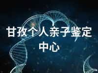 甘孜个人亲子鉴定中心