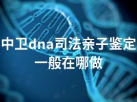 中卫dna司法亲子鉴定一般在哪做