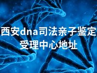 西安dna司法亲子鉴定受理中心地址