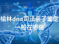 榆林dna司法亲子鉴定一般在哪做