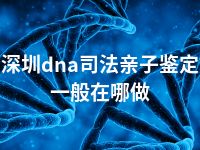 深圳dna司法亲子鉴定一般在哪做