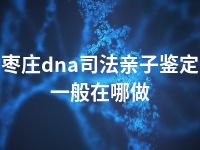 枣庄dna司法亲子鉴定一般在哪做