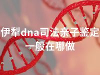 伊犁dna司法亲子鉴定一般在哪做