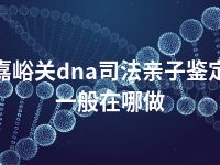 嘉峪关dna司法亲子鉴定一般在哪做