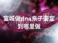 宣城做dna亲子鉴定到哪里做