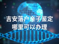 吉安落户亲子鉴定哪里可以办理