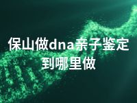 保山做dna亲子鉴定到哪里做