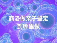 商洛做亲子鉴定到哪里做