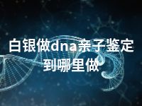 白银做dna亲子鉴定到哪里做