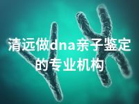 清远做dna亲子鉴定的专业机构